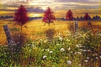 Sunset Shadows Fine Art Print