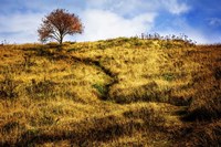 The Challenge Fine Art Print