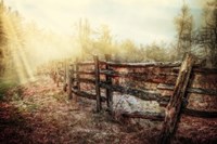 Wood Fences In The Fog Fine Art Print