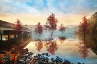 Cypress Autumn Fine Art Print