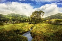 Willow in Early Autumn Fine Art Print