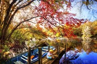 Morning Thoughts Fine Art Print