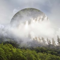 Circle of Life Fine Art Print