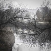 Reaching Fine Art Print