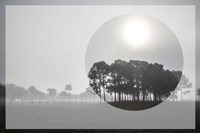 Sunrise Circles Fine Art Print