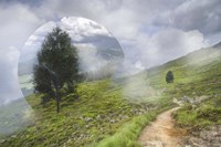 Wander Fine Art Print