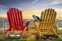 Cat Nap at the Beach Fine Art Print
