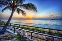 End of Day Play Fine Art Print