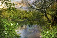 Magnolia Overlook in Summer Fine Art Print