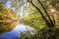 Unforgetable Fine Art Print