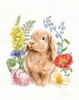Sunny Bunny I FB Fine Art Print