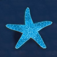 Cyanotype Sea III Framed Print