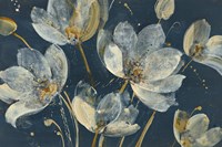 Translucent Garden Fine Art Print