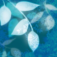 Ink Leaves I Fine Art Print