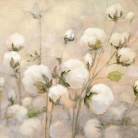 Cotton Field Crop Fine Art Print
