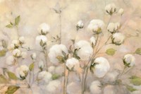 Cotton Field Fine Art Print