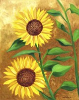 Sunflower Fine Art Print