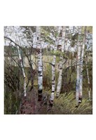 Summertide Fine Art Print