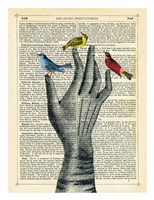 Bird in the Hand Fine Art Print