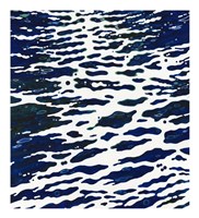 Night Wake Fine Art Print