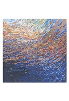 Illuminated Fine Art Print