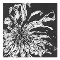 Awakening Fine Art Print