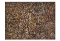 Struggle Fine Art Print