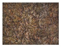 Struggle Fine Art Print