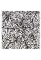 Captivate Fine Art Print