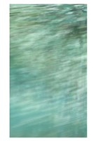 Lake Trail Edge Fine Art Print