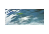 Sea Spray Fine Art Print