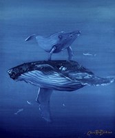 Whales Framed Print