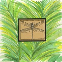 Dragonfly Fine Art Print