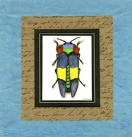 Bugs I Fine Art Print