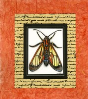 Bugs II Fine Art Print