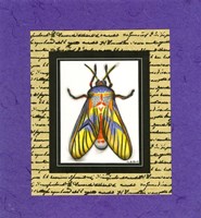 Bugs III Fine Art Print
