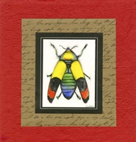 Bugs IV Fine Art Print