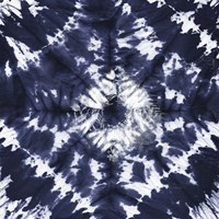 Indigo II Fine Art Print