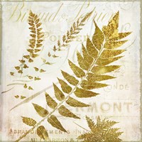 Golda I Fine Art Print