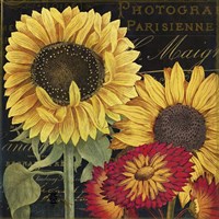 October Sun I Fine Art Print