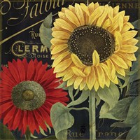 October Sun II Fine Art Print