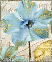Himalayan Poppy Fine Art Print