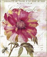 Le Pink Gold Fine Art Print