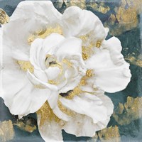 Petals Impasto (Gold) Fine Art Print