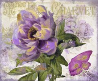 Purple Peony Fine Art Print