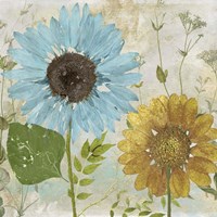 Morning Blue I Fine Art Print