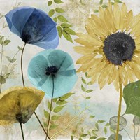 Morning Blue II Fine Art Print