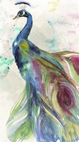 Peacock Dress Fine Art Print