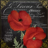 Fleur du Jour I Fine Art Print