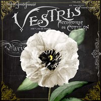 Fleur du Jour II Fine Art Print